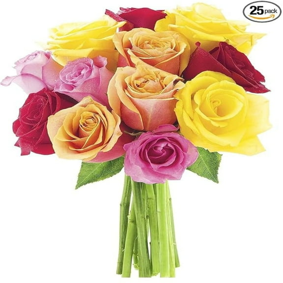 KaBloom :24 Assorted Roses with Lush Greens., Next-Day Delivery, Gift for Every Occasion.