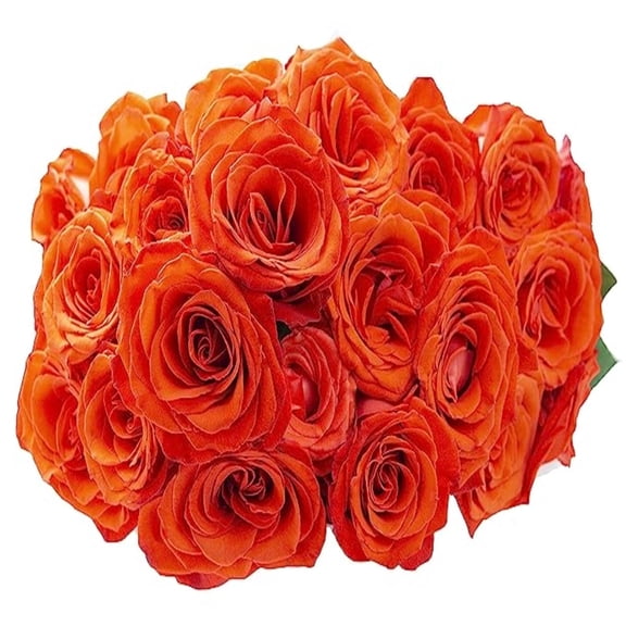 KaBloom :24 Orange Roses, 3 Greens, Next-Day Delivery, Gift for Every Occasion.