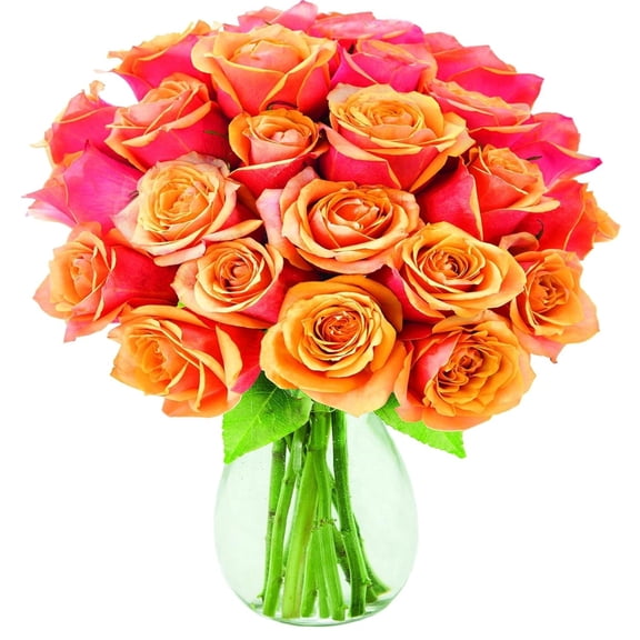 KaBloom :24 Orange Roses, 3 Greens, and Vase, Next-Day Delivery, Gift for Every Occasion.