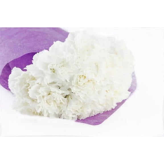 KaBloom: 24 Red Carnation in vase, Next-Day Delivery, Gift for Every Occasion.