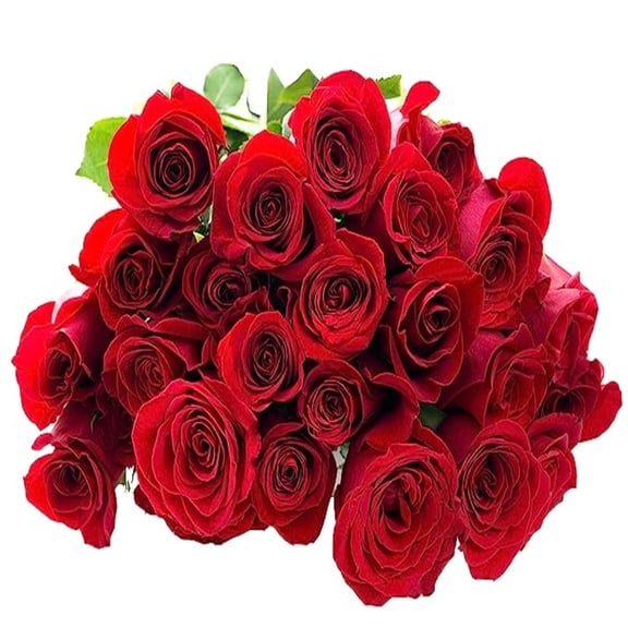 KaBloom : 24 Red Roses, Next-Day Delivery, Gift for Every Occasion.