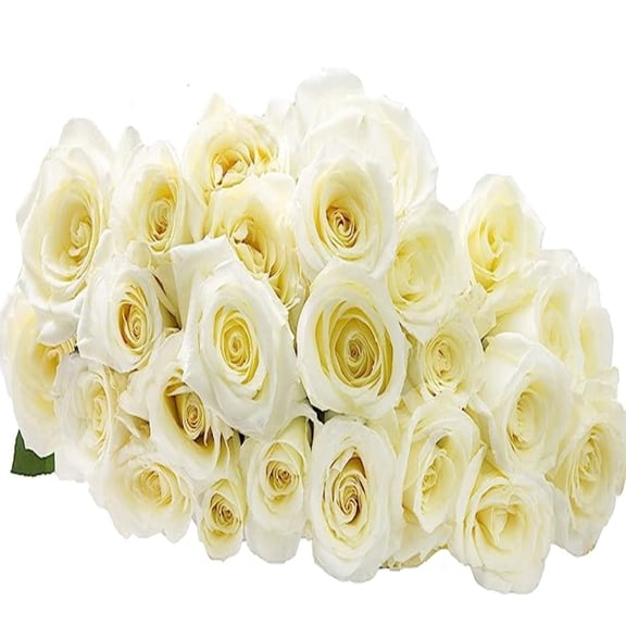 KaBloom :24 White Roses, 3 Greens, Next-Day Delivery, Gift for Every Occasion.