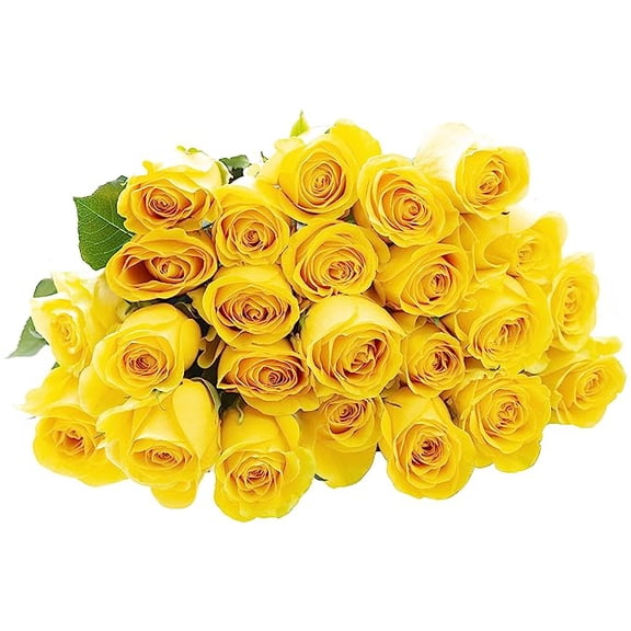 KaBloom :24 Yellow Roses, 3 Greens, Next-Day Delivery, Gift for Every Occasion.