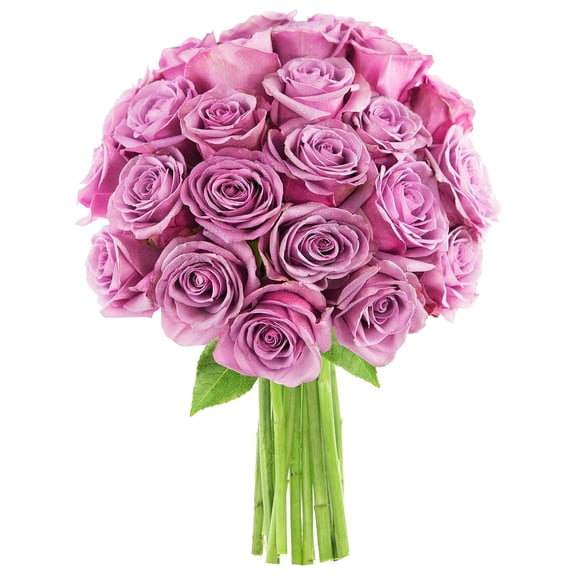 KaBloom: 25 Purple Roses, Next-Day Delivery, Gift for Every Occasion.