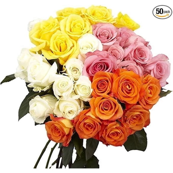 KaBloom :250 Assorted Roses Next-Day Delivery, Gift for Every Occasion.