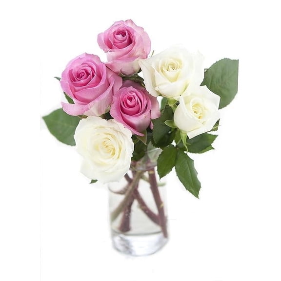 KaBloom : 3 Pink Roses, 3 White Roses, 3 Greens, Next-Day Delivery, Gift for Every Occasion.