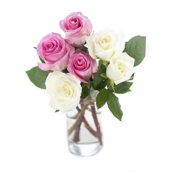KaBloom : 3 Pink Roses, 3 White Roses, and Vase, Next-Day Delivery, Gift for Every Occasion.