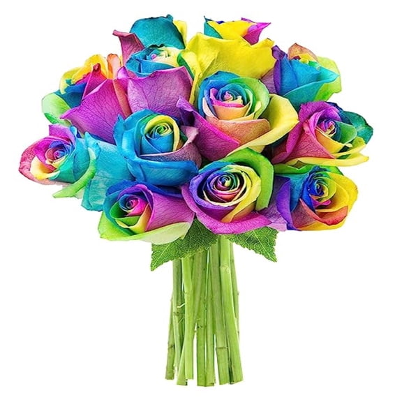 KaBloom : 12 Rainbow Roses without Vase, Next-Day Delivery, Gift for All Occasion.