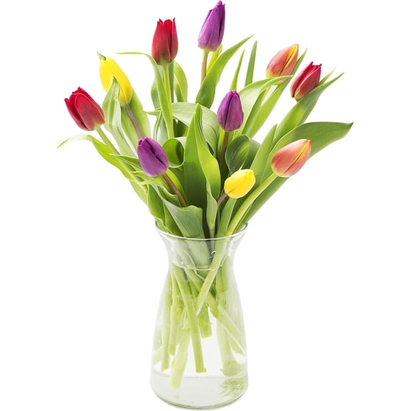 KaBloom : 4 Purple, 4 Red, 4 Orange, and 4 Yellow Tulips in vase, Next-Day Delivery.