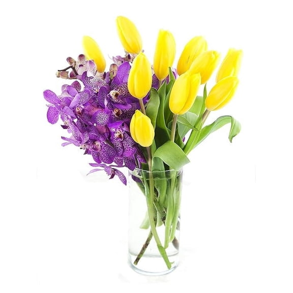 KaBloom : 5 Purple Mokara Orchids, 10 Yellow Tulips in Vase, Next-Day Delivery.