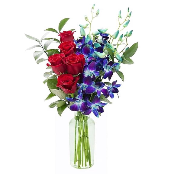 KaBloom : 5 Red Roses, 5 Blue Dendrobium Orchids and 5 Greens with Vase, Next-Day Delivery.