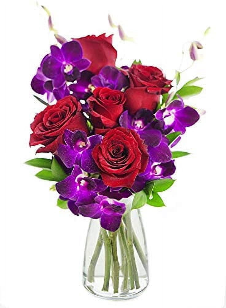 Israeli Roses KaBloom : 5 Red Roses, 5 Purple Dendrobium orchids, and 5 Israeli ...