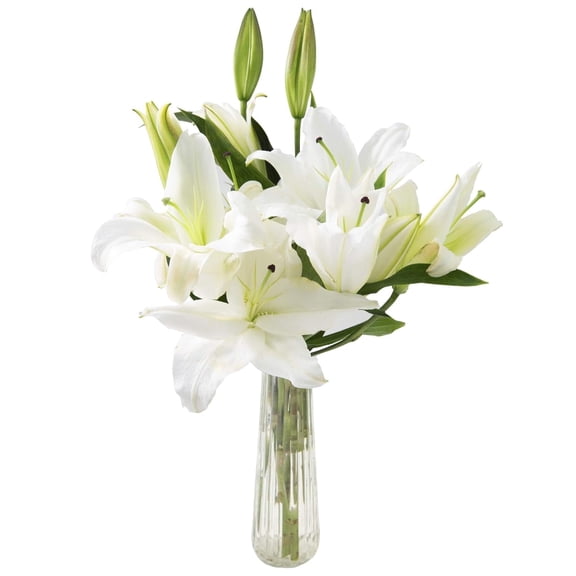 KaBloom : 5 White Oriental Lily with Vase, Next-Day Delivery, Gift for Every Occasion.