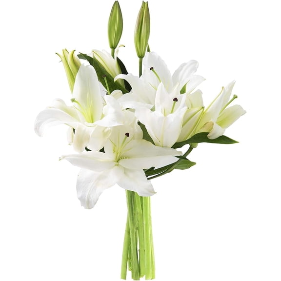 KaBloom : 5 White Oriental lily, Next-Day Delivery, Gift for Every Occasion.