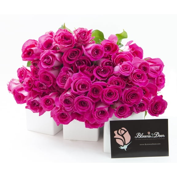 KaBloom : 50 Hot Pink Roses - Farm Direct Wholesale Fresh Flowers