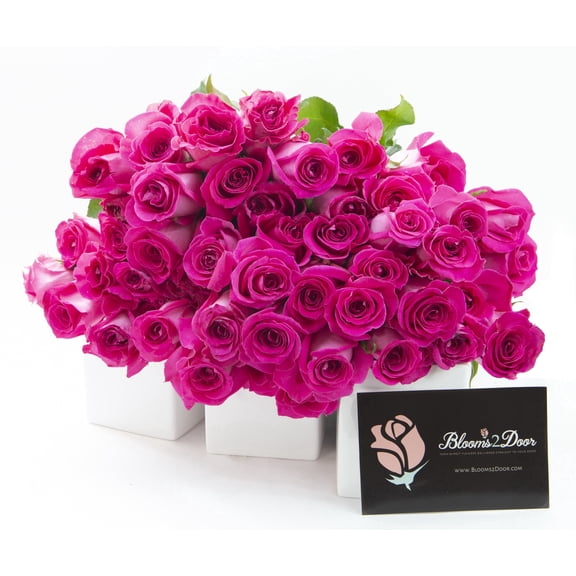 KaBloom : 50 Hot Pink Roses - Farm Direct Wholesale Fresh Flowers