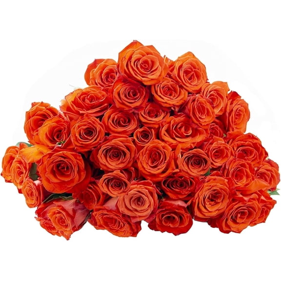 KaBloom :50 Orange Roses, Next-Day Delivery, Gift for Every Occasion.