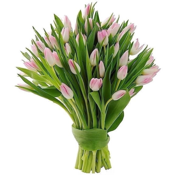 KaBloom :50 Pink Tulips, Next-Day Delivery, Gift for Every Occasion.