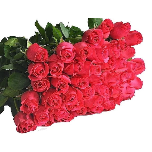 KaBloom :-50 Red Roses, Next-Day Delivery, Gift for Every Occasion.