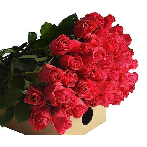 KaBloom :50 Red Roses, Next-Day Delivery, Gift for Every Occasion.