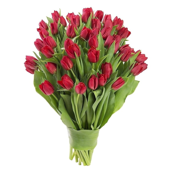 KaBloom : 50 Red Tulips, Next-Day Delivery, Gift for Every Occasion.
