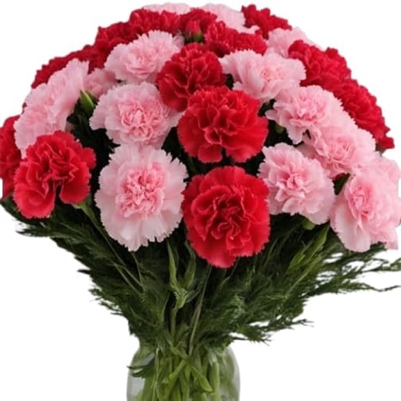KaBloom :50 Red and Pink Carnation Next-Day Delivery, Gift for Every Occasion.