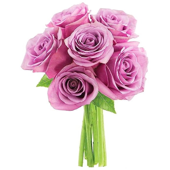 KaBloom : 6 Lavender Roses, 3 Greens, Next-Day Delivery, Gift for Every Occasion.