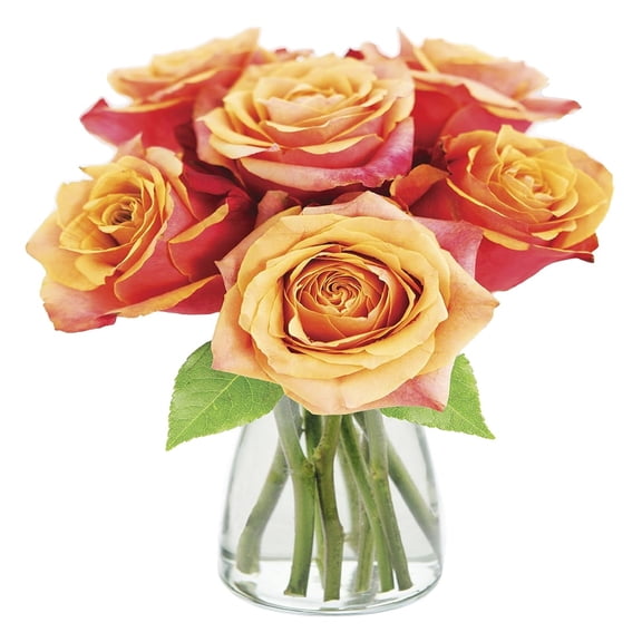 KaBloom : 6 Orange Roses, 3 Greens, and Vase, Next-Day Delivery, Gift for Every Occasion.