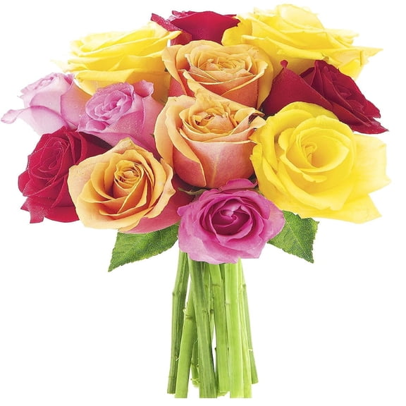 KaBloom : 6 Orange Roses, 6 Pink Roses, 6 Rainbow Roses with vase Next-Day Delivery.