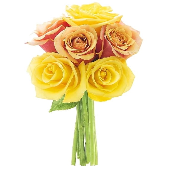 KaBloom : 6 Orange Roses, 6 Yellow Roses, Next-Day Delivery, Gift for Every Occasion.