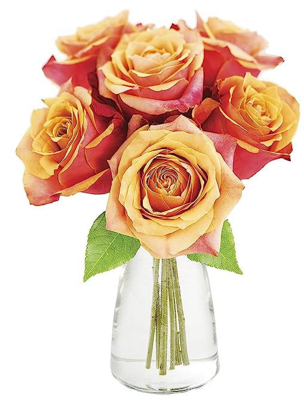 KaBloom 6 Orange Roses With Vase Farm Fresh Cut .Gift for Birthday