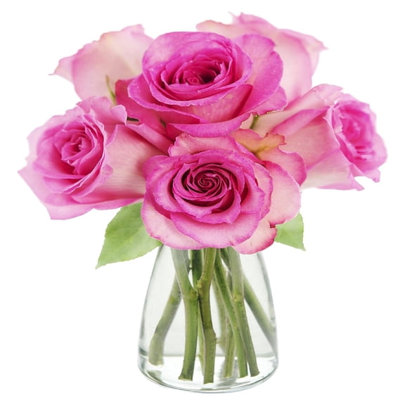 KaBloom : 6 Pink Roses, Next-Day Delivery, Gift for Every Occasion.