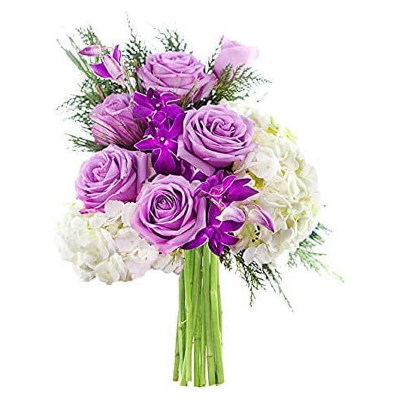 KaBloom : 6 Purple Roses, 2 White Hydrangeas, 2 Purple Dendrobium Orchids, 6 Greens, Next-Day Delivery.