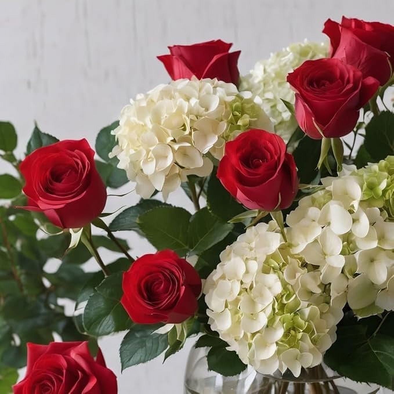 KaBloom : 6 Red Rose and 2 White Hydrangea with Greens Next-Day Delivery, Gift for Every Occasion.