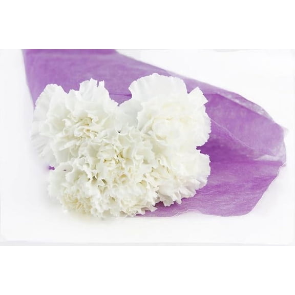 KaBloom :6 White Carnations, Next-Day Delivery, Gift for Every Occasion.
