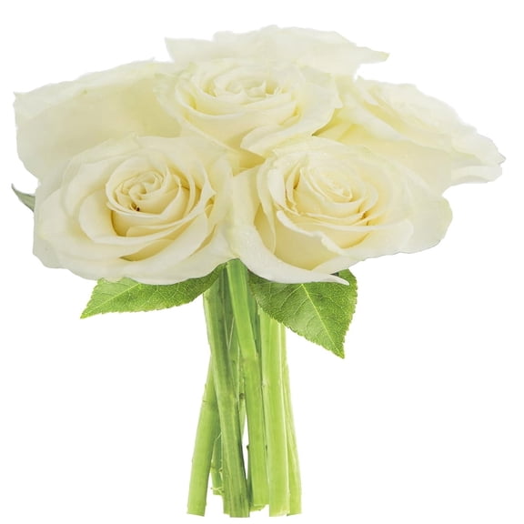 KaBloom : 6 White Roses, 3 greens, Next-Day Delivery, Gift for Every Occasion.