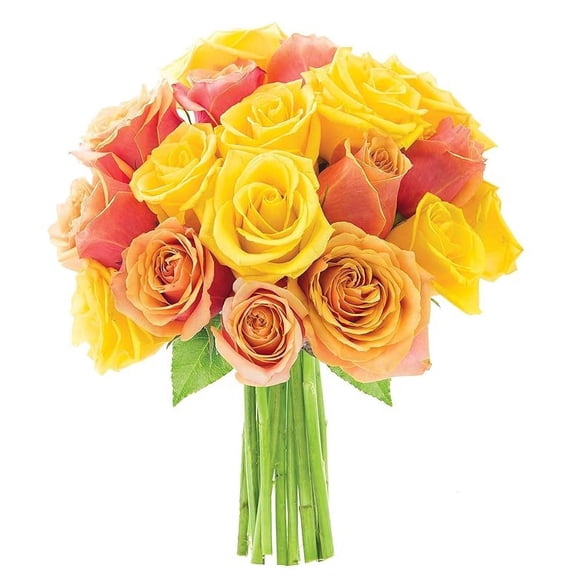 KaBloom : 9 Orange Roses, 9 Yellow Roses, 3 Greens, Next-Day Delivery, Gift for Every Occasion.