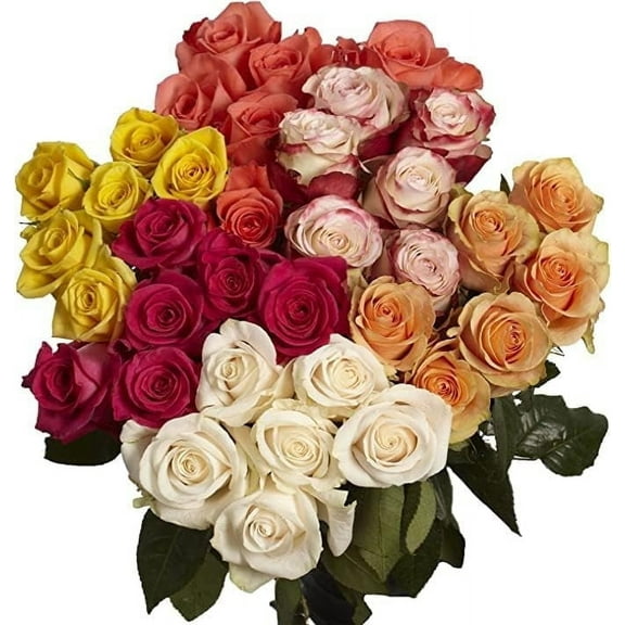 KaBloom :96 Assorted Roses Next-Day Delivery, Gift for Every Occasion.
