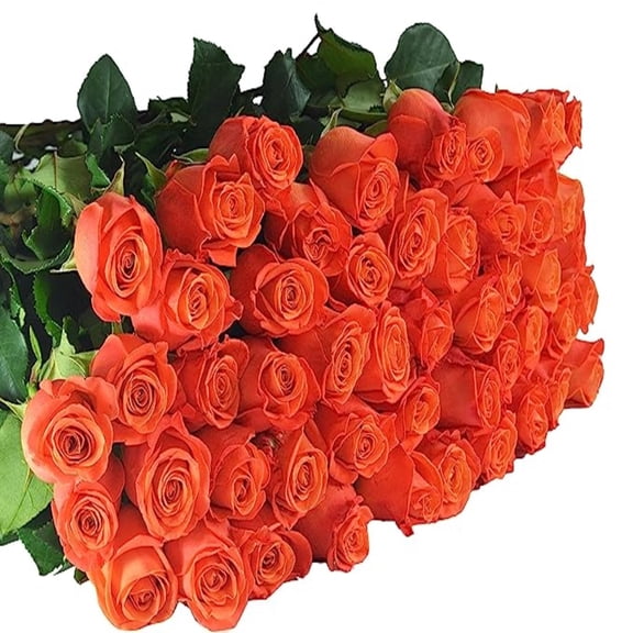 KaBloom :96 Orange Roses, Next-Day Delivery, Gift for Every Occasion.