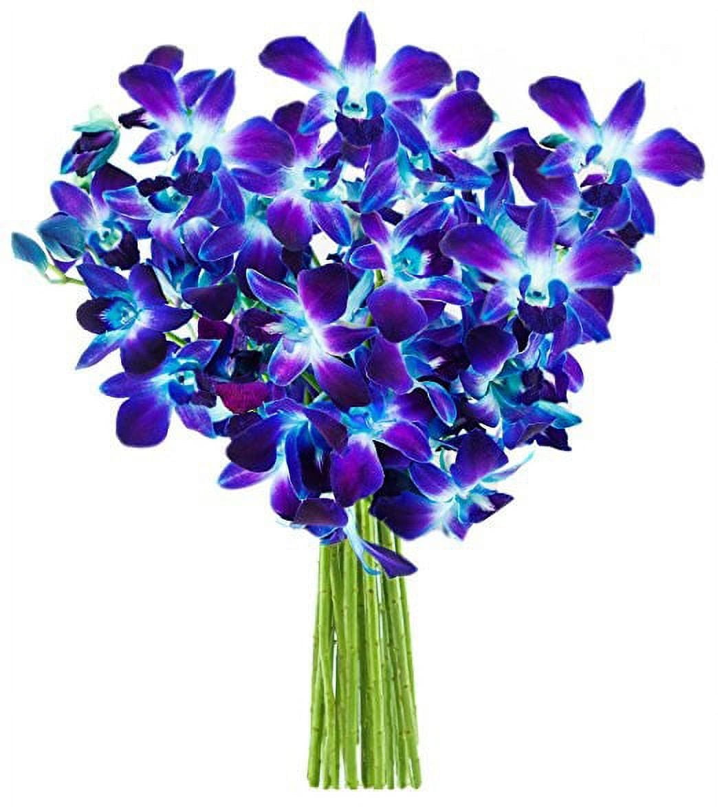 Exotic Sapphire Blue Orchid Bouquet with Vase
