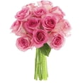 thumbnail image 1 of KaBloom : Bouquet of 12 Pink Roses, Next-Day Delivery, Gift for Every Occasion, 1 of 5