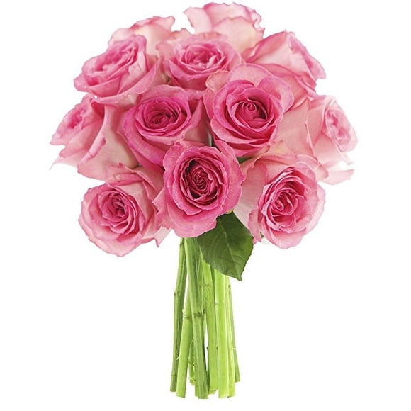 KaBloom : Bouquet of 12 Pink Roses, Next-Day Delivery, Gift for Every Occasion