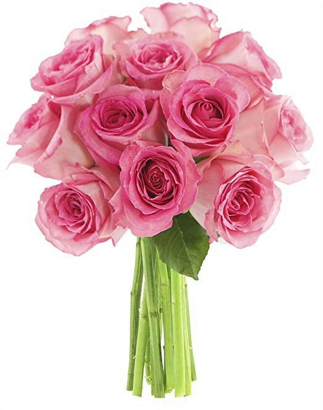 KaBloom : Bouquet of 12 Pink Roses, Next-Day Delivery, Gift for Every Occasion