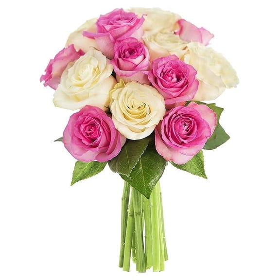 KaBloom : Bouquet of 12 Pink and White Roses Next-Day Delivery, Gift for Every Occasion.