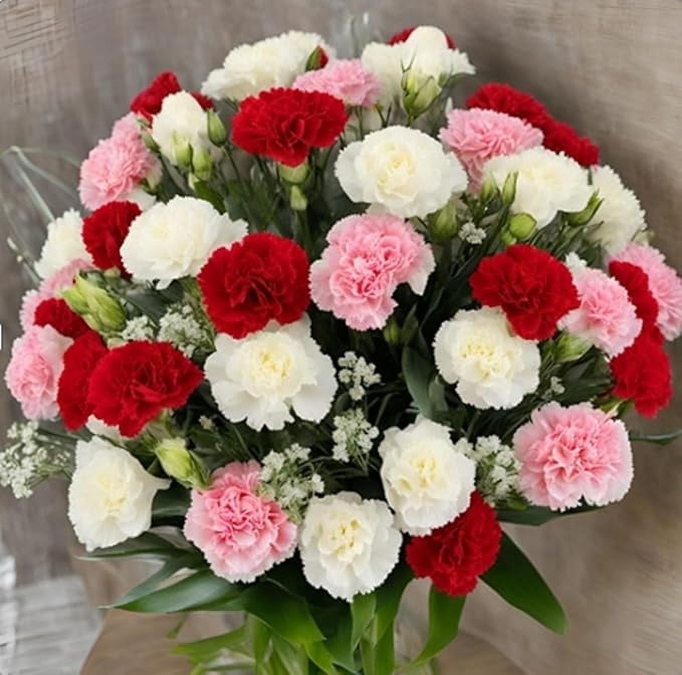 KaBloom :Bouquet of 18 Assorted Carnation without vase Next-Day Delivery, Gift for Every Occasion.