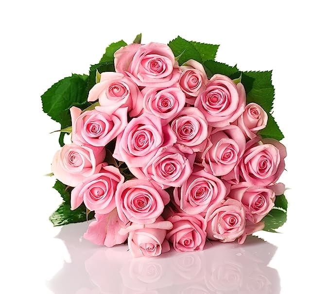 KaBloom : Bouquet of Fresh 18 Pink Roses, Next-Day Delivery, Gift for All Occasions