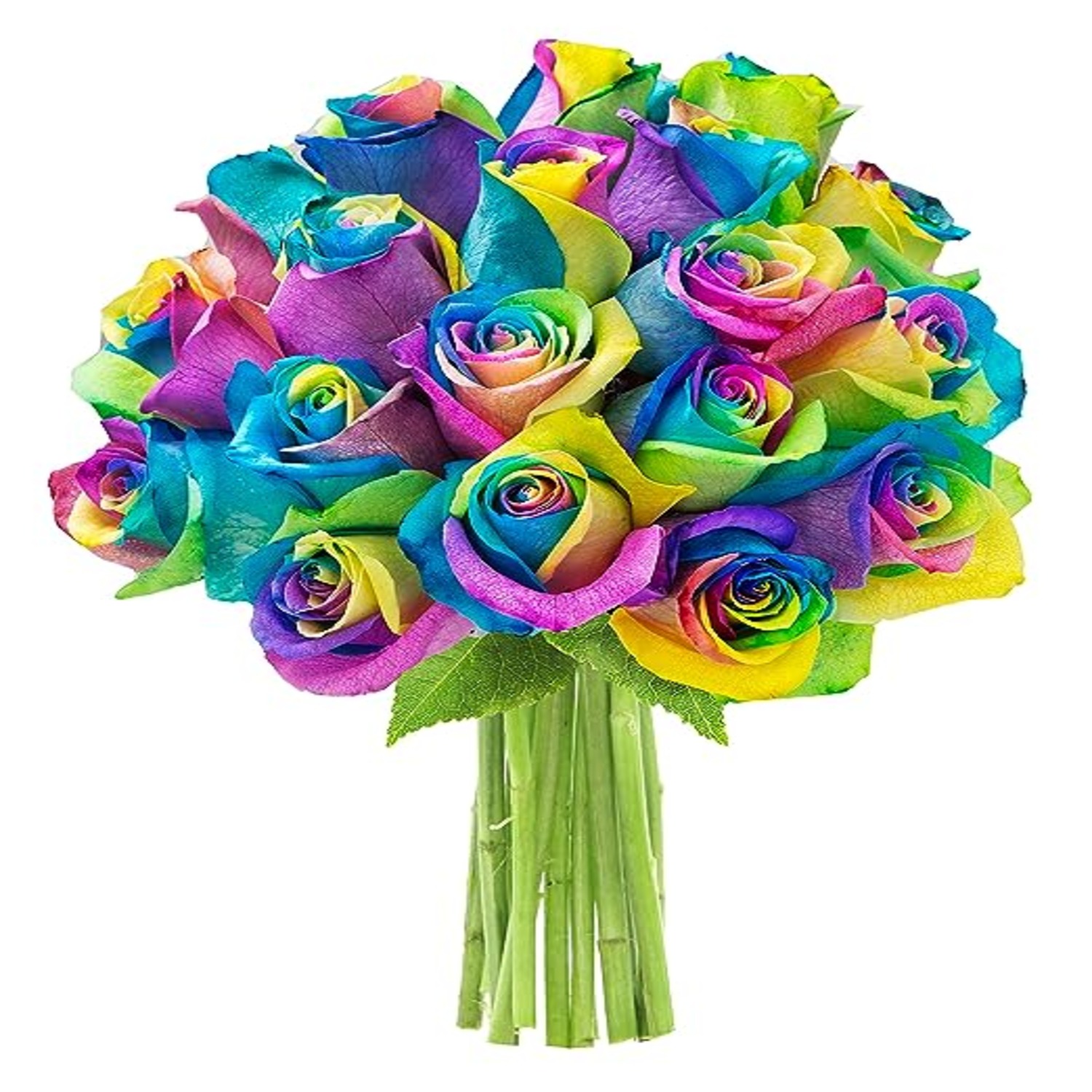 KaBloom :Bouquet of 18 Rainbow Roses Next-Day Delivery, Gift for Every ...