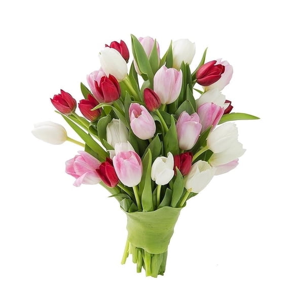KaBloom :Bouquet of 30 Assorted Tulips Next-Day Delivery, Gift for Every Occasion.
