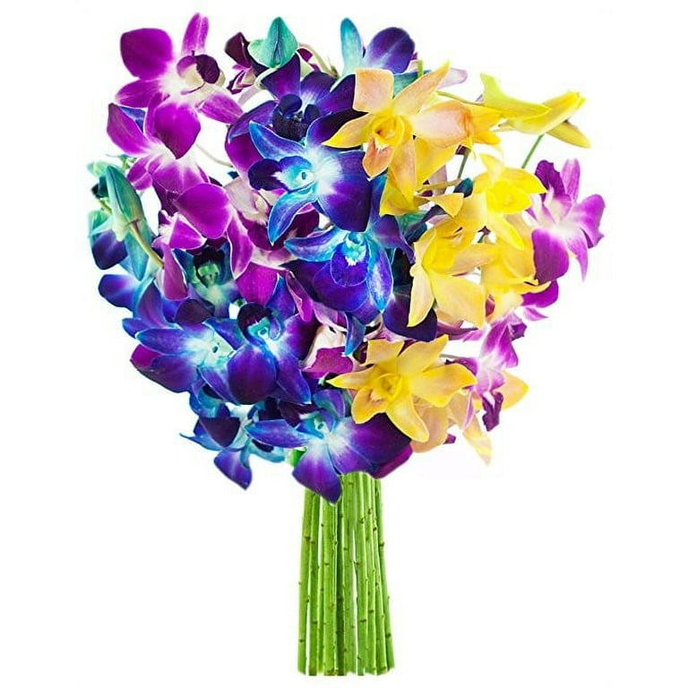 KaBloom: Bouquet of 5 Blue Dendrobium Orchids, 3 Purple Dendrobium