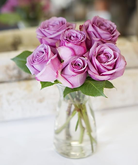 KaBloom: Fall Collection- Bouquet of Fresh 6 Purple Roses in a Glass Vase, Next-Day Delivery, Gift for all occasions